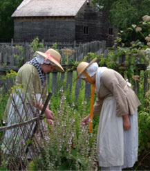 herb garden