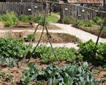 Herb Garden