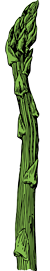 asparagus